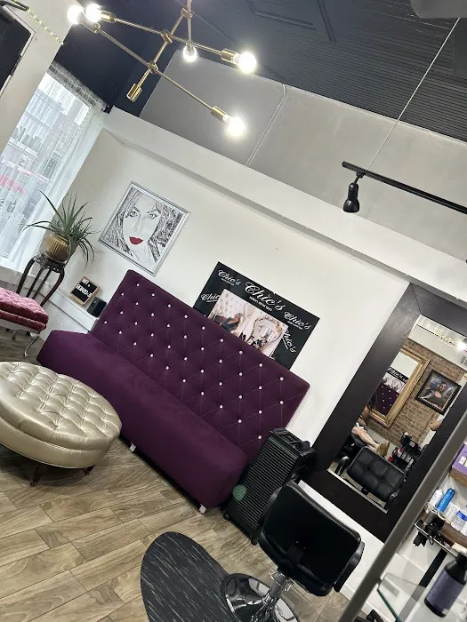 Chics Salon & Spa Picture 10