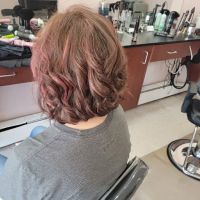 Design Zone Hair Studio ico