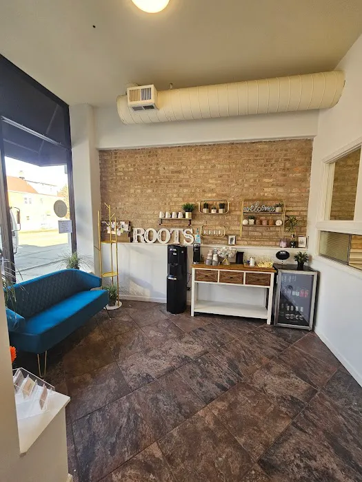 Roots & Cuttery Glamour Salon Picture 8