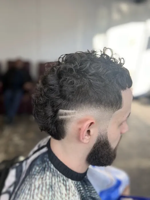 Designer Barber Lounge Picture 4