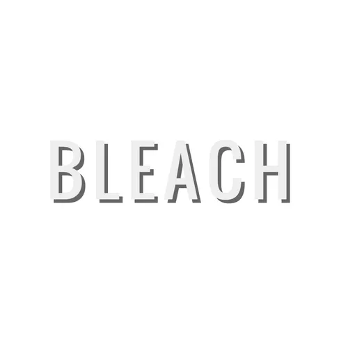 Bleach Picture 7