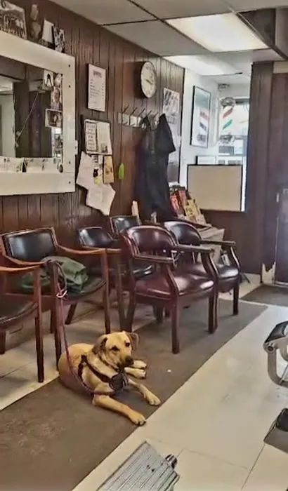Andre’s Barber Shop Picture 7