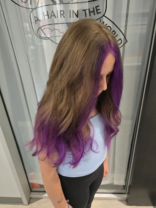 Not A Hair In The World Picture 3
