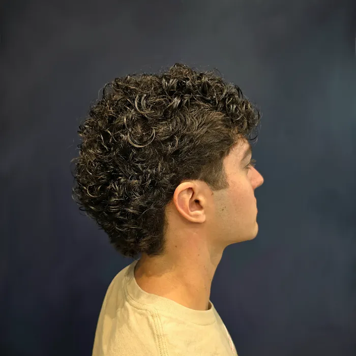 Not A Hair In The World Picture 5