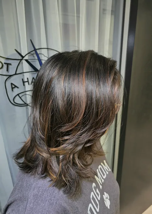 Not A Hair In The World Picture 7
