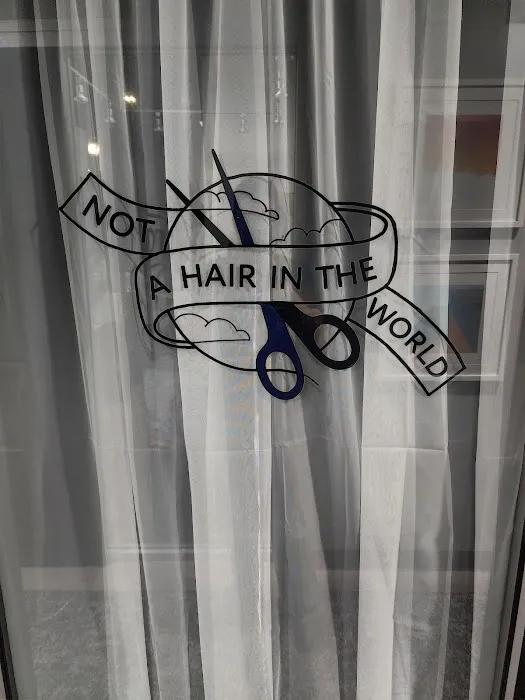 Not A Hair In The World Picture 1