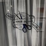 Not A Hair In The World