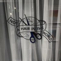 Not A Hair In The World ico