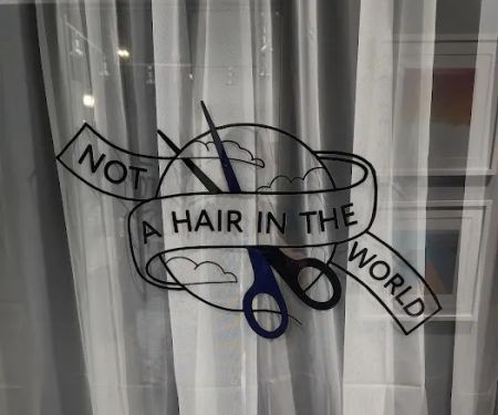 Not A Hair In The World