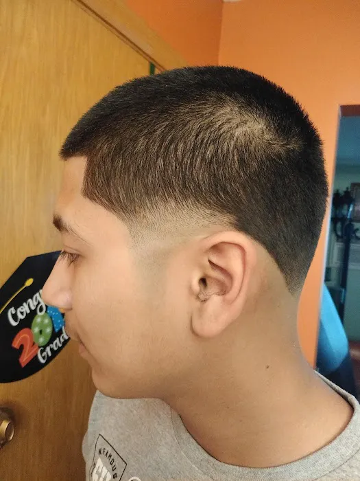 Platinum Fades Picture 2