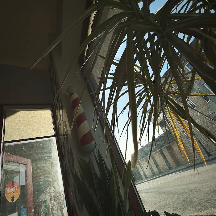 Magos Styling Cave — Barbershop Picture 2