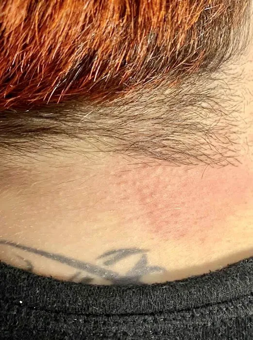 Luna Electrolysis Picture 9