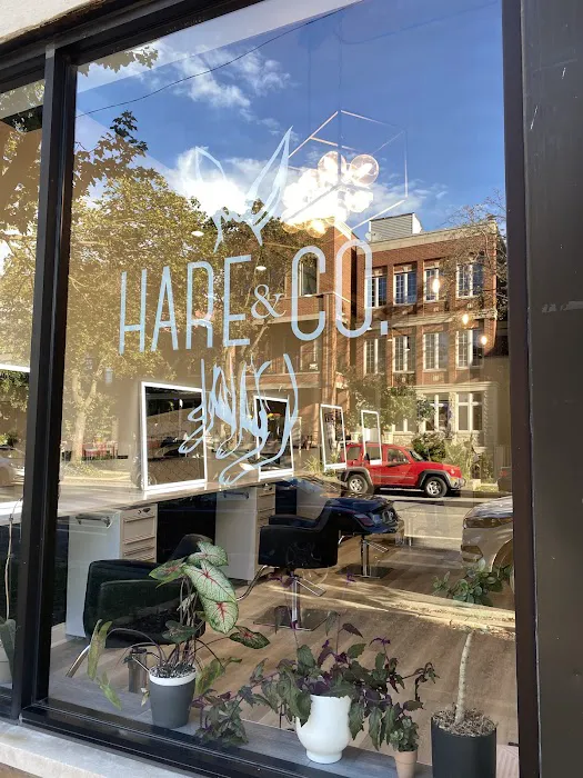Hare&Co Salon Picture 8