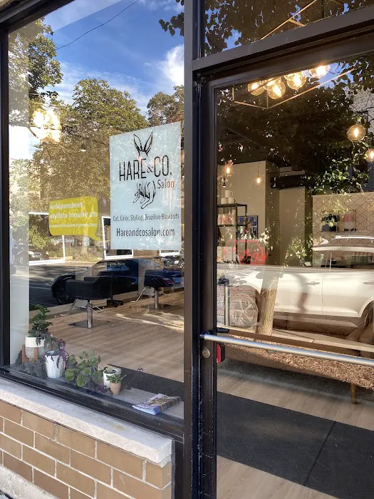Hare&Co Salon Picture 5