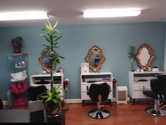 V-La Salon Picture 2