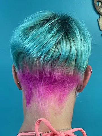 V-La Salon Picture 3