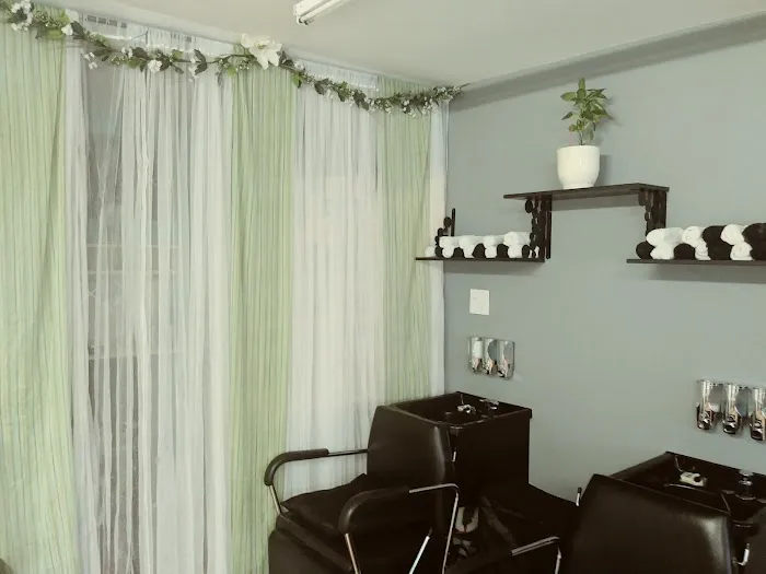 V-La Salon Picture 4