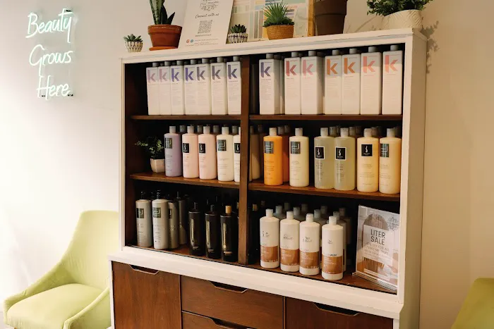 Robert Jeffrey Salon Lakeview Picture 1