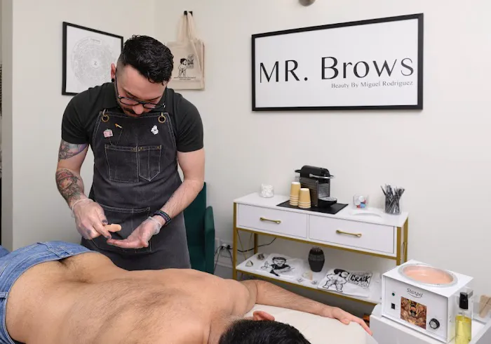 MR. Brows Picture 3