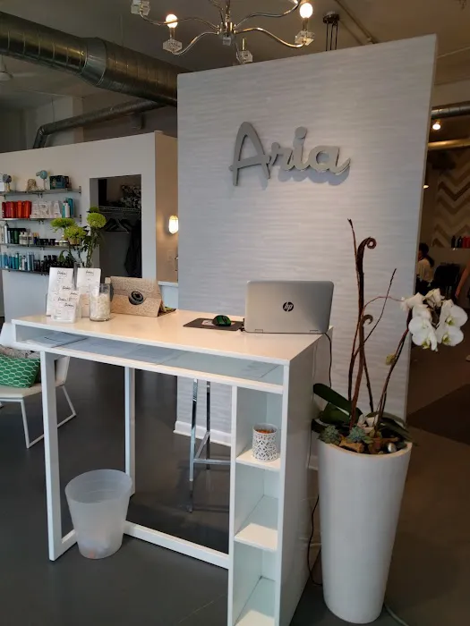 Aria Salon Picture 1