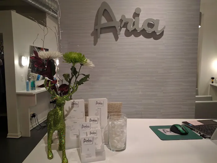 Aria Salon Picture 3