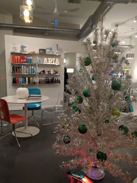 Aria Salon Picture 4
