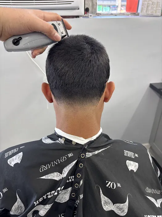 D Barbershop Picture 6