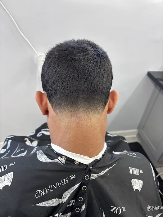 D Barbershop Picture 7