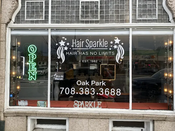 Hair Sparkle Picture 9