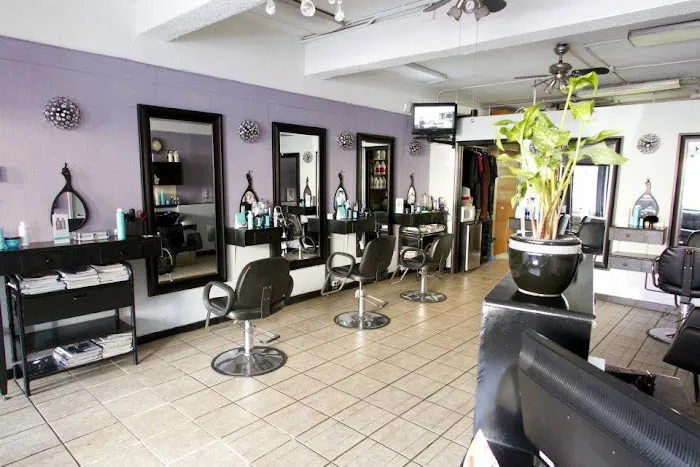 Junior's Hair Design Picture 3