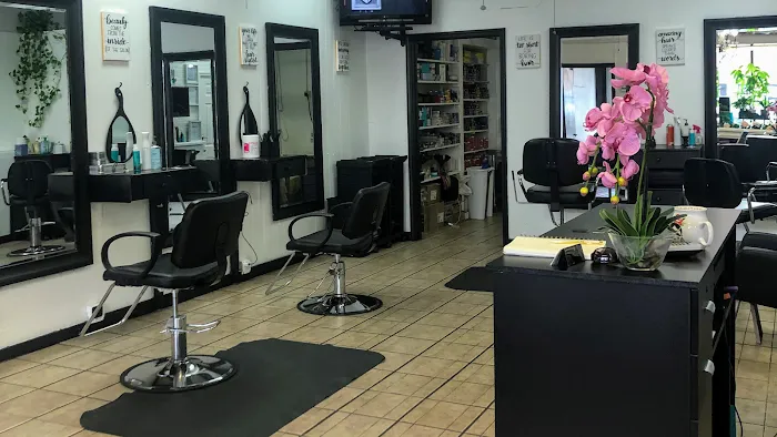 Junior's Hair Design Picture 10