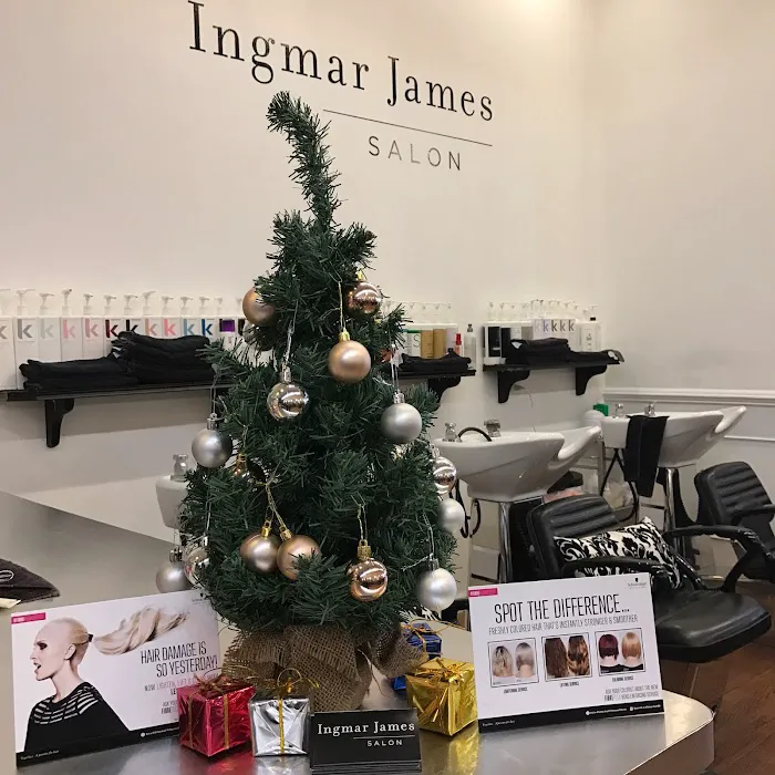 Ingmar James Salon Picture 9