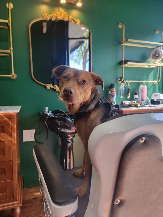 HOLY FADE! Hair Parlor Picture 2