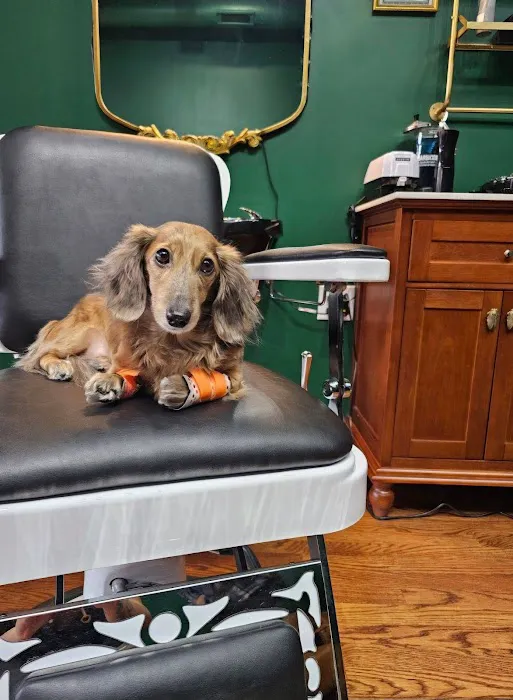 HOLY FADE! Hair Parlor Picture 5
