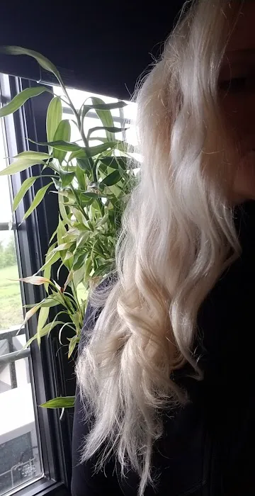 Chicago Male Salon & Spa Picture 7