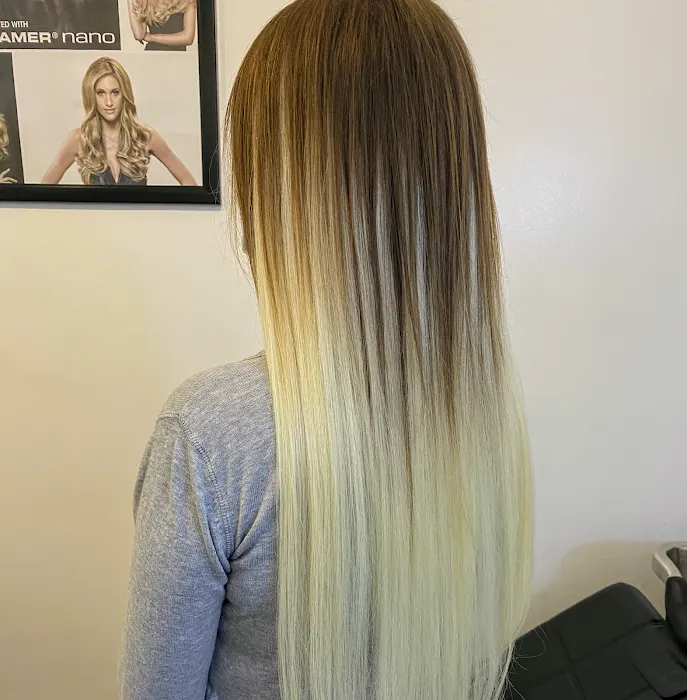 Chicago Hair Extensions Salon Picture 7