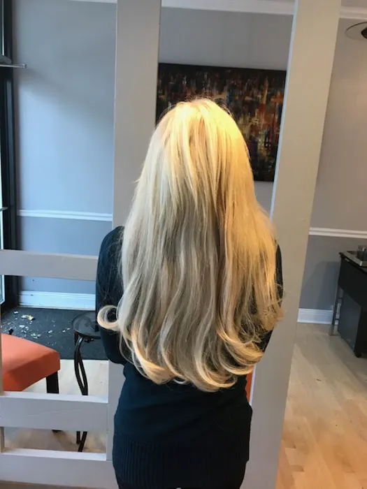 Chicago Hair Extensions Salon Picture 10