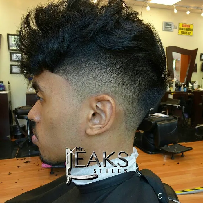 Mr. Leaks Styles @ MLS Grooming LLC Picture 1