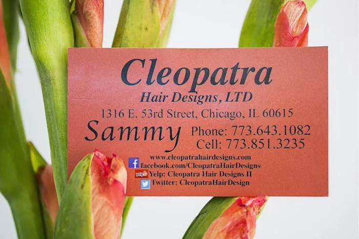 Cleopatra Hair Designs Picture 5