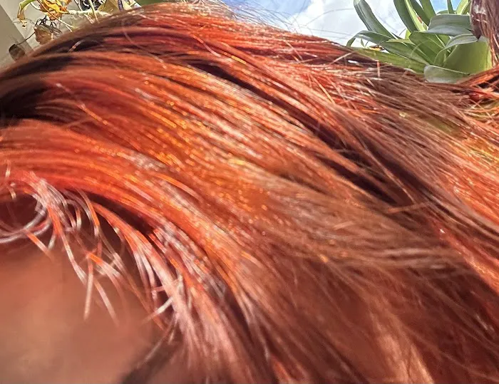 Serrano's Hair Salon Picture 6
