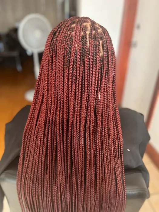Holla Professional African Hair braiding Picture 9