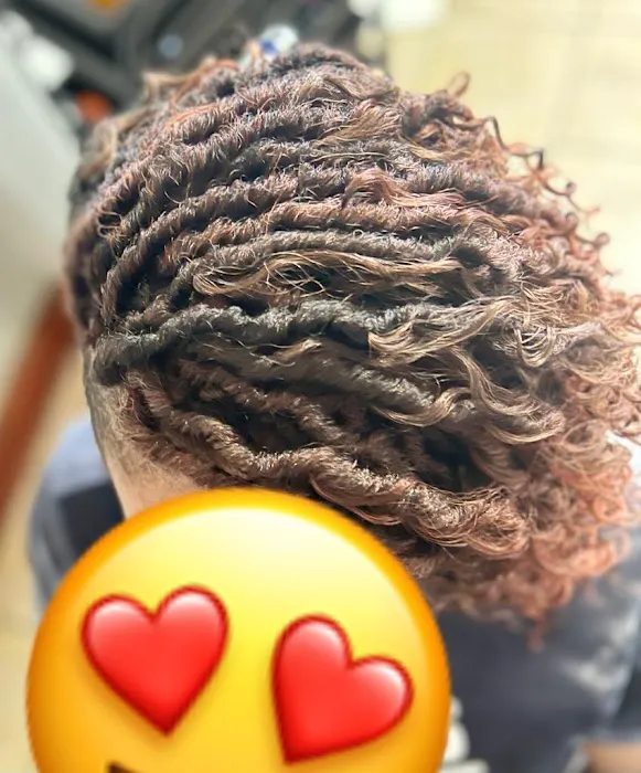Holla Professional African Hair braiding Picture 6