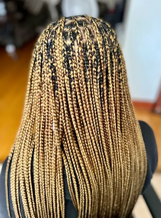 Holla Professional African Hair braiding Picture 8