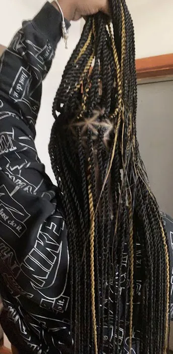 Holla Professional African Hair braiding Picture 7