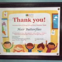 Hair Butterflies ico