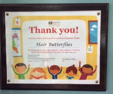 Hair Butterflies