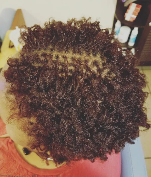Locd Tresses Picture 1