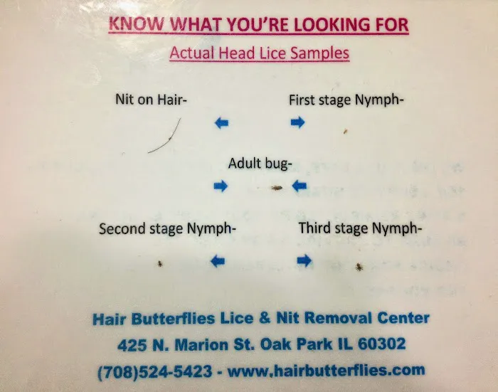 Hair Butterflies Lice and Nit Removal Salon Picture 8
