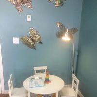 Hair Butterflies Lice and Nit Removal Salon ico