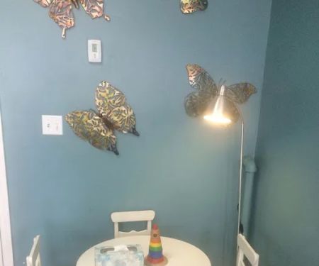 Hair Butterflies Lice and Nit Removal Salon